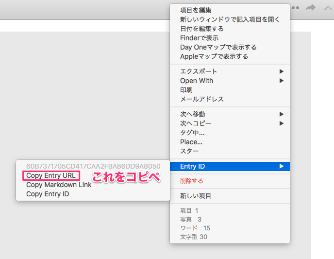 Day_Oneからカレンダー6